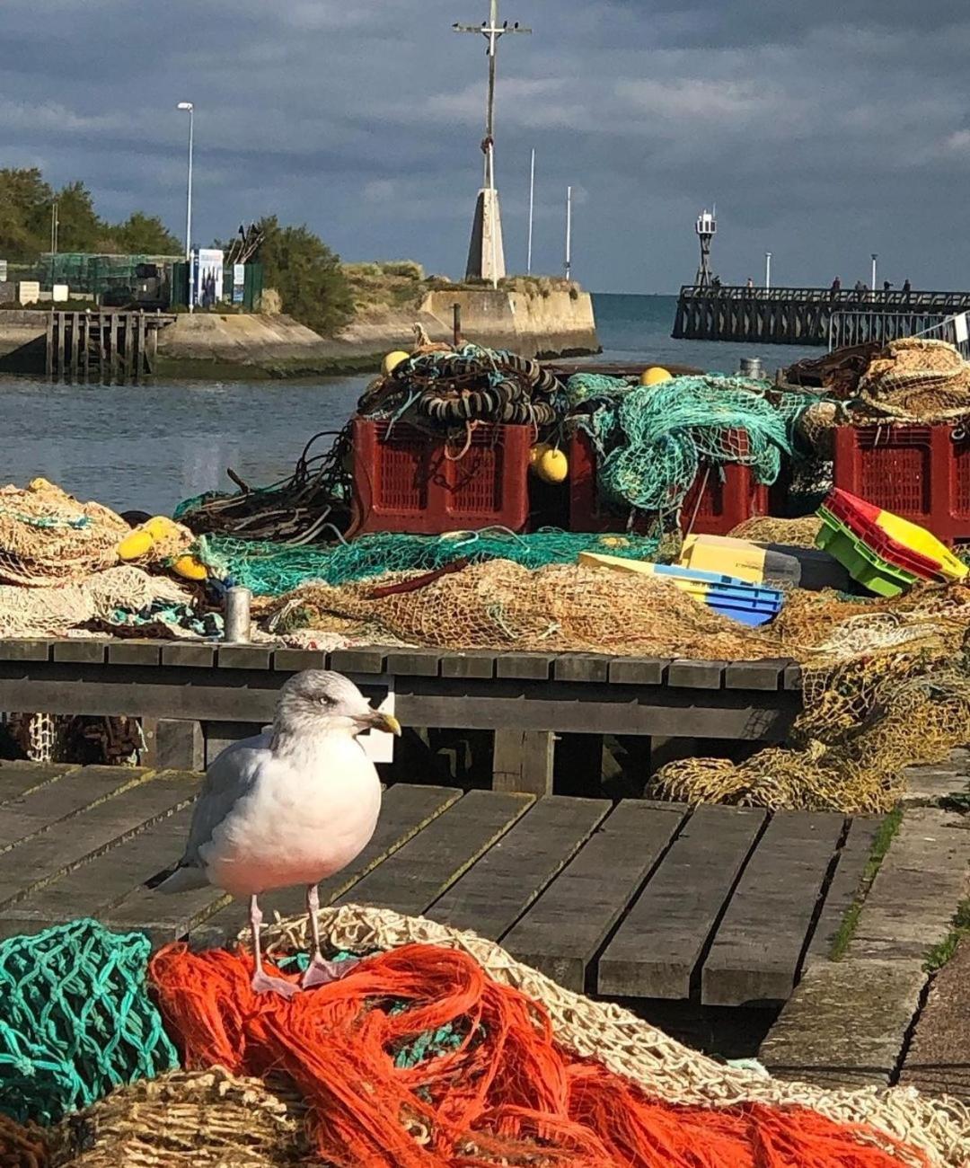 Entre Seulles & Mer Proche Port De Plaisance Courseulles-sur-Mer Eksteriør bilde